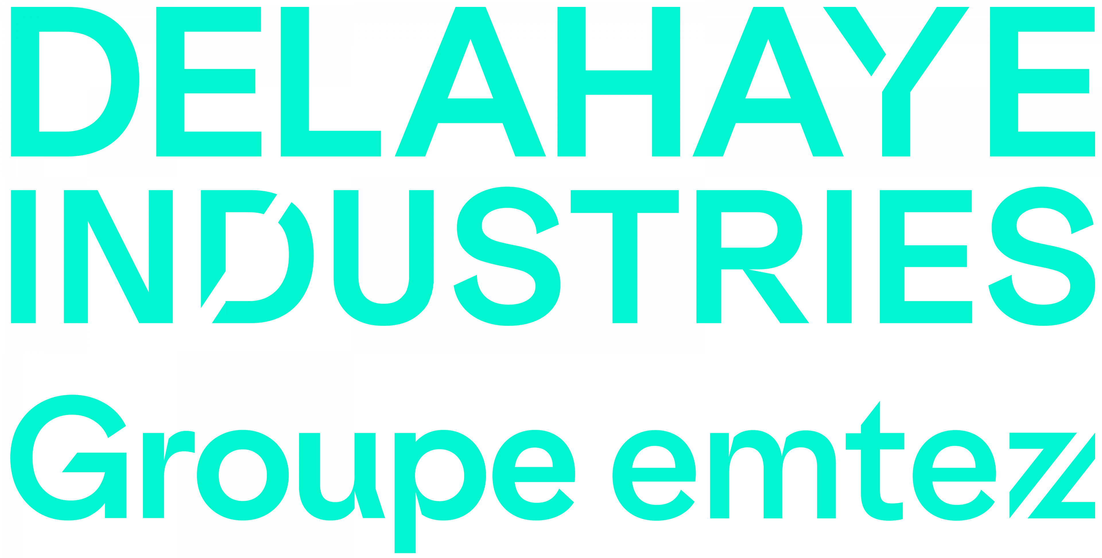 Logo_DELAHAYE_INDUSTRIES.png