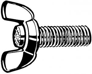 VIS A OREILLES SL AC-I A2 M10x30  