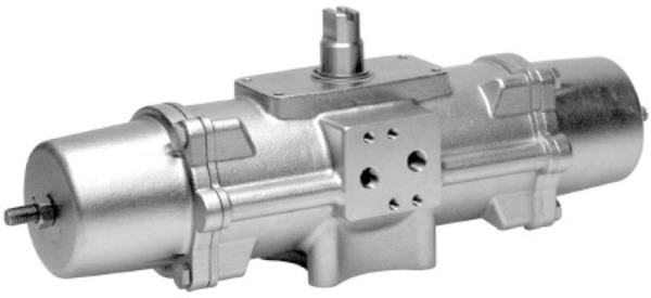 DAPS-0060-090-RS4-F0507-CR Vérin oscillant
