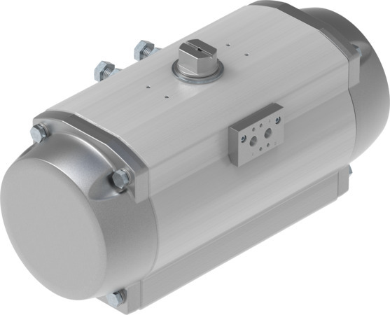 DFPD-900-RP-90-RS60-F1012-R3-EP Vérin oscillant